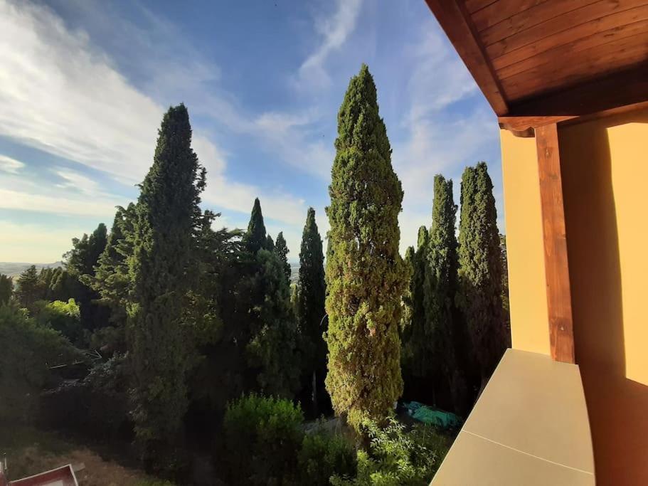 Lajatico Rentals - Terrazza Sul Tramonto Del Silenzio Bagian luar foto